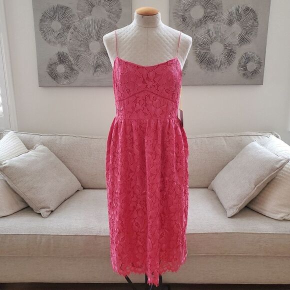 CeCe Aurora Lace Midi Dress - Picture 3 of 13